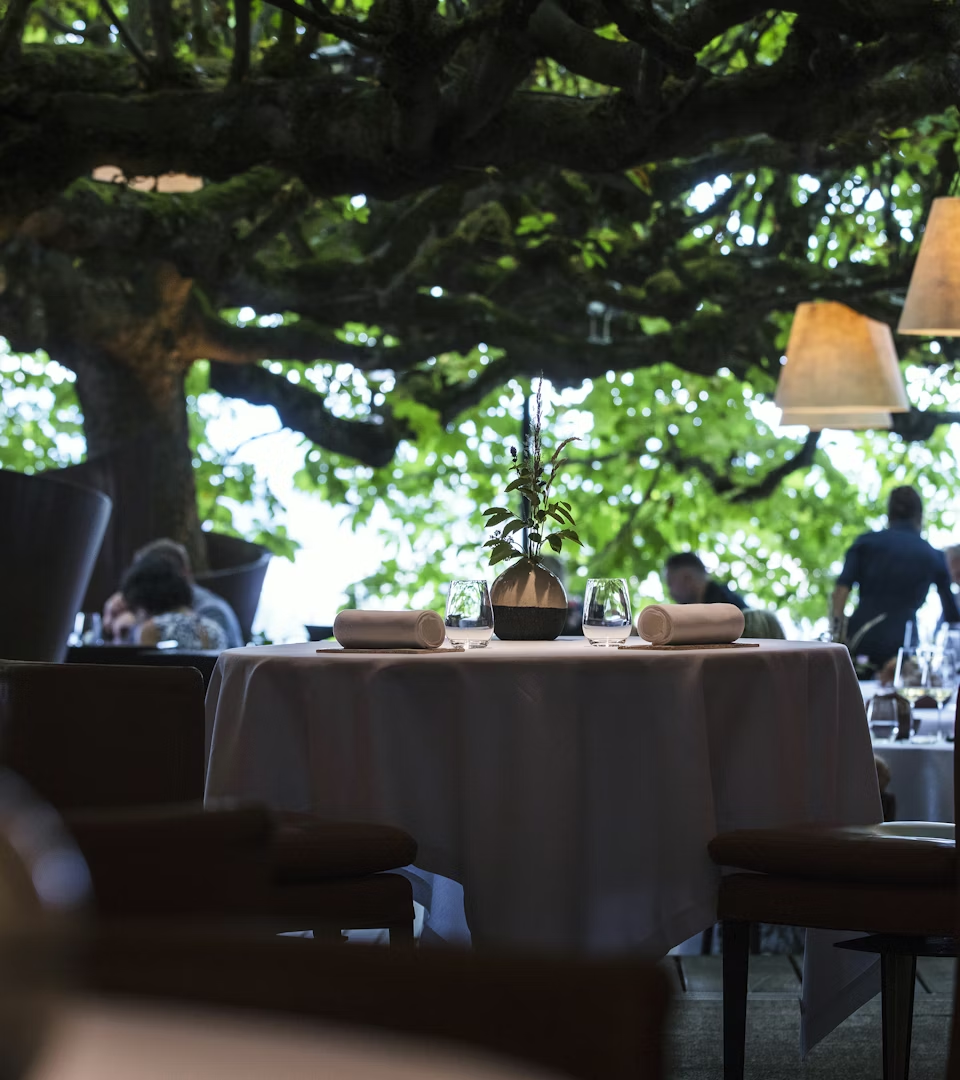 Gastronomie Le Clos des Sens